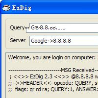 域名DNS查詢(xún)